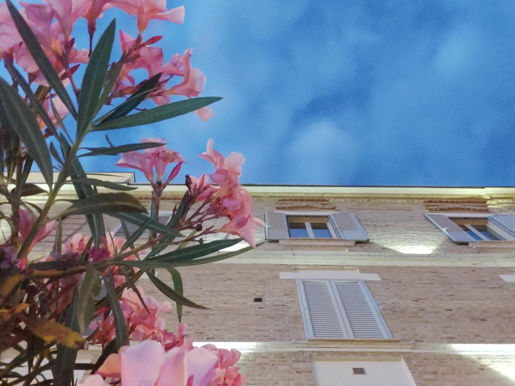 Villa Contessina Cossignano Екстер'єр фото
